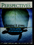Perspectives, Fall 2006 by Western New England College School of Law