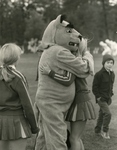 Huggable Golden Bear, undated by Western New England College